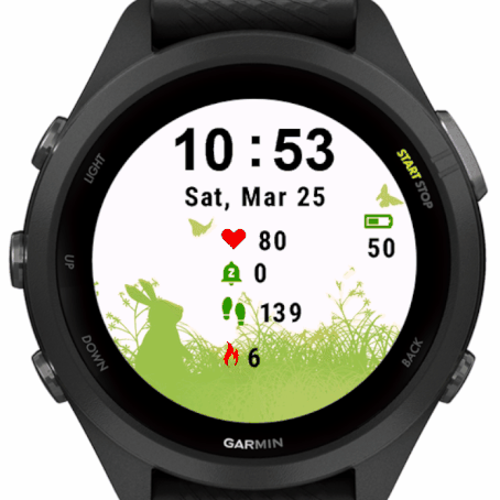 Garmin forerunner 935 online apps