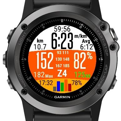 garmin f3