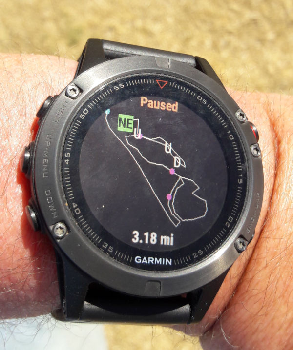 garmin vivoactive 3 walking