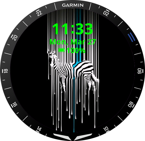garmin watch updates