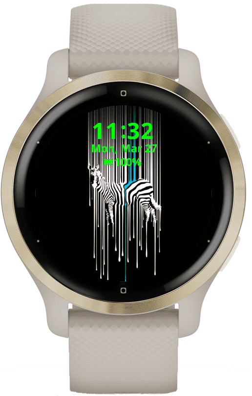 garmin watch updates
