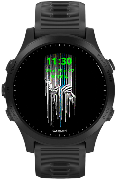 garmin watch updates