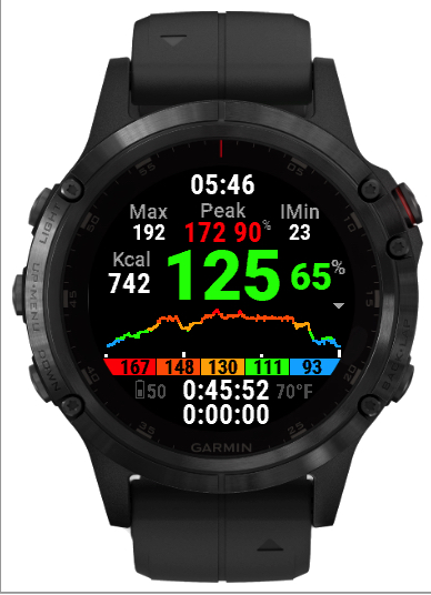 Garmin 2024 cardio workout