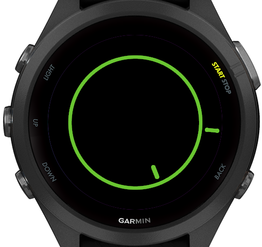 Garmin forerunner 2025 245 apps