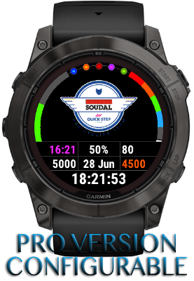 Garmin fenix 2025 6x apps