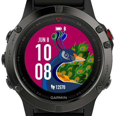 garmin watch apps