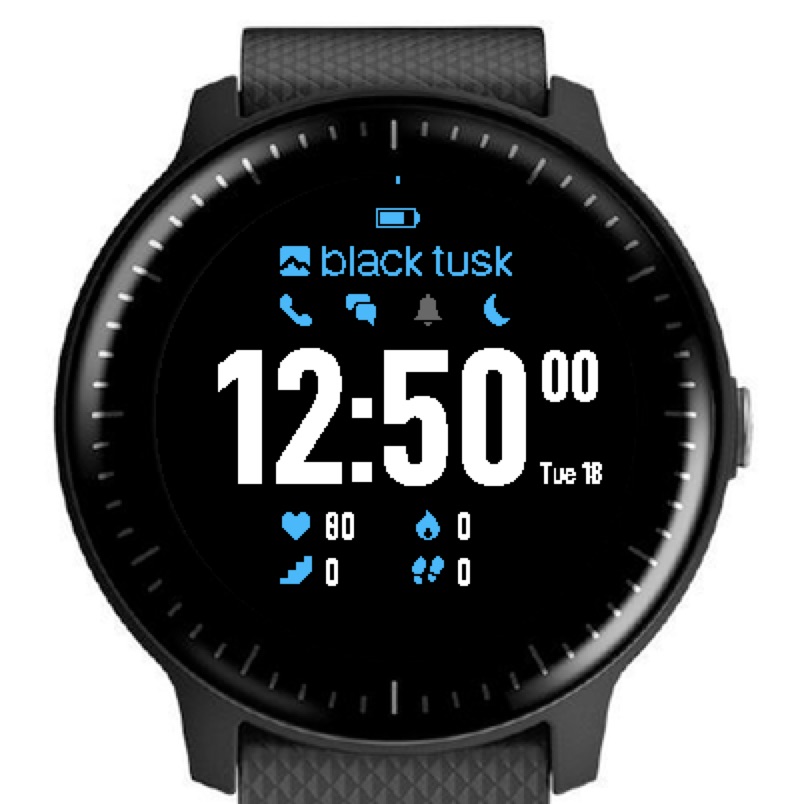 Montre garmin online connect