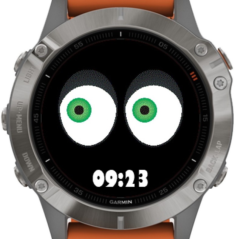 Garmin fenix 5x app online