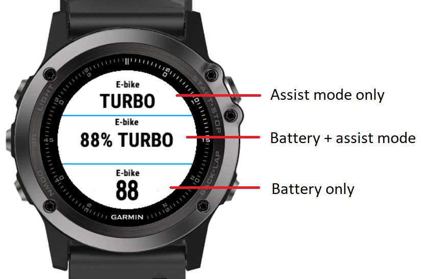 garmin fenix e