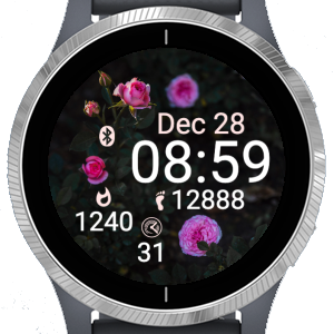 Garmin connect shop samsung gear s3