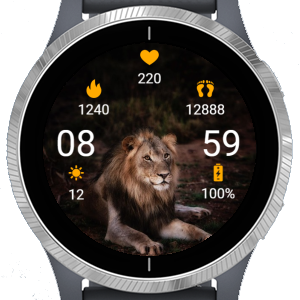 Garmin connect samsung gear s3 hot sale