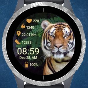 Garmin connect best sale samsung watch