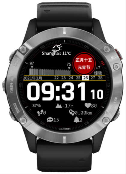 Digital Watch Garmin Connect IQ