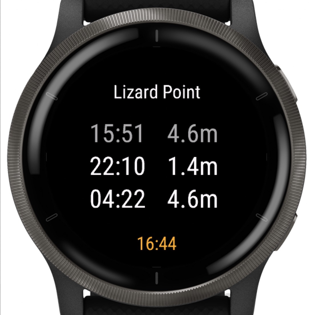 Garmin watch online tides