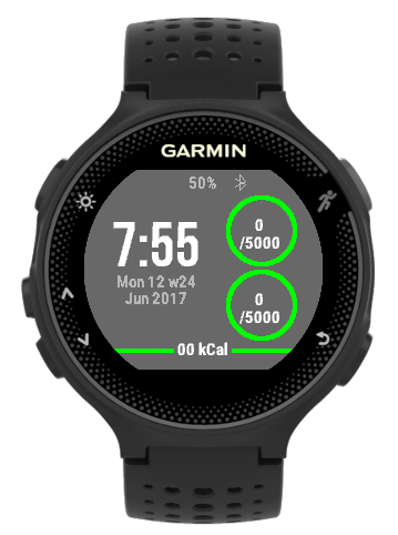 | Garmin Connect IQ