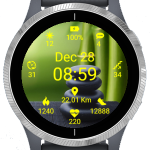 Garmin connect shop samsung gear s3