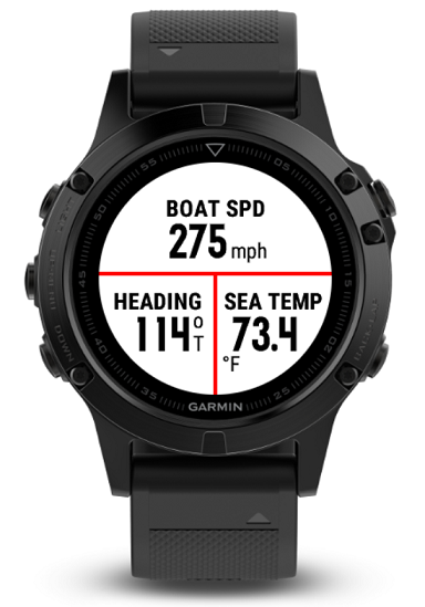 Garmin 2025 gnt 10