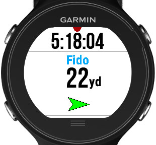 dog track fenix 5