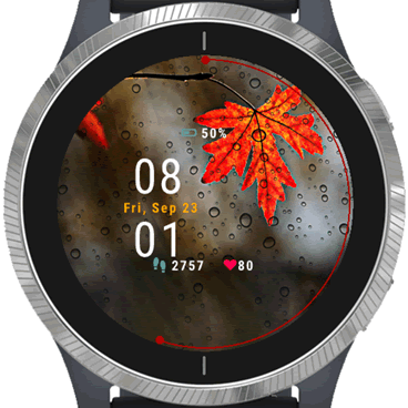 Red Autumn Garmin Connect IQ