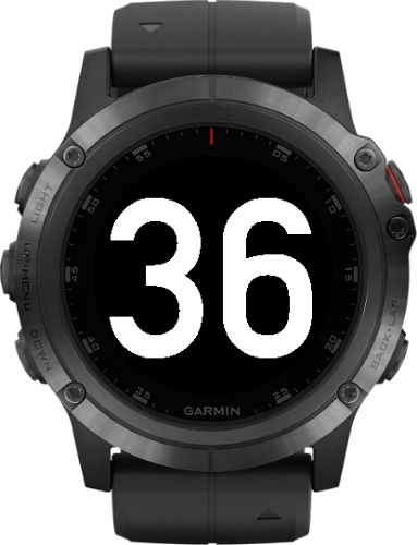 garmin clock