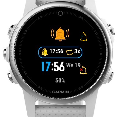 Garmin 2025 245 alarm