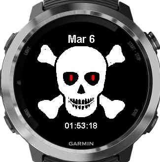 fake garmin fenix 5 plus