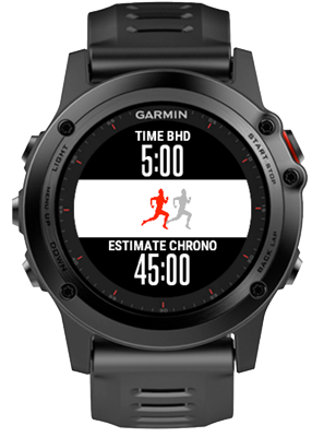 Virtual partner 2024 garmin vivoactive 3