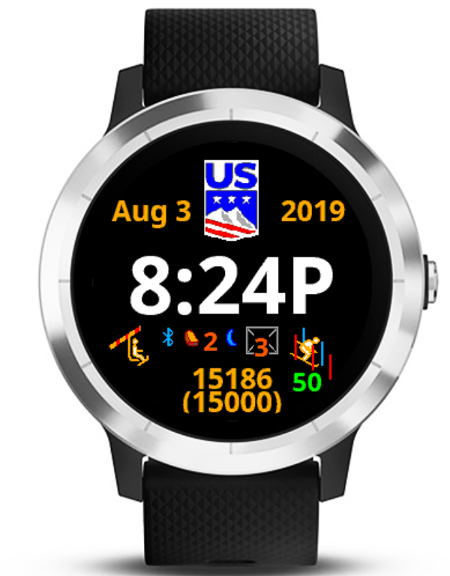 garmin skiing watch