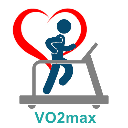 Vo2max hot sale garmin 735xt