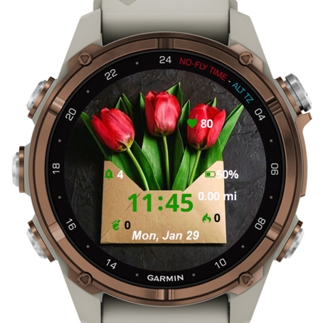 Apps for garmin on sale fenix 5 plus