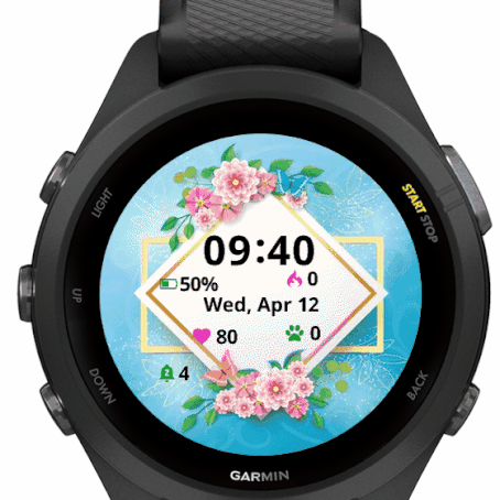 Garmin forerunner best sale 735xt connect iq