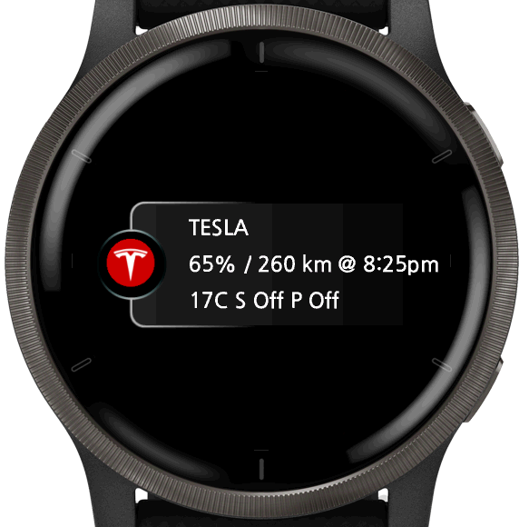 Tesla best sale smart watch