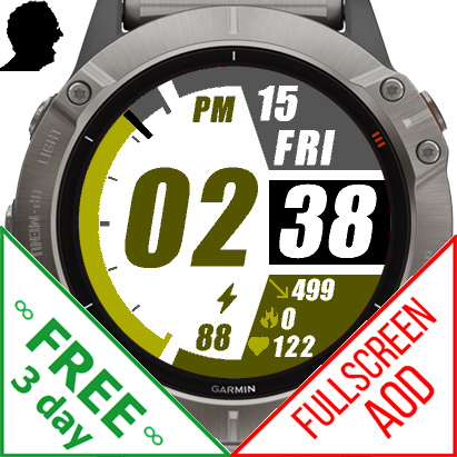 Garmin fenix discount 6 golf app