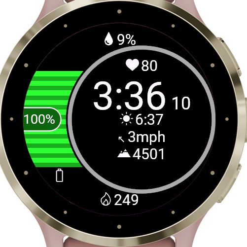 Garmin vivoactive 4s online weather