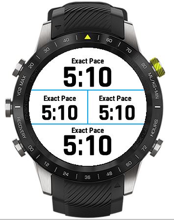 garmin forerunner 30 pace in km