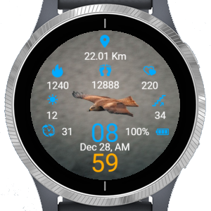App Icon