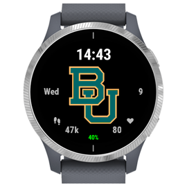 garmin vivoactive 3 football