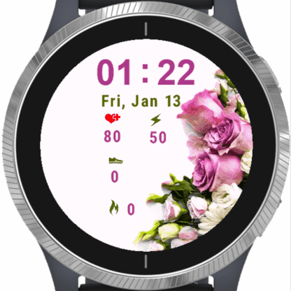 garmin watch updates
