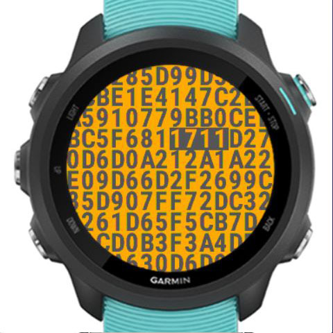 RNDM Useless Watch Face Garmin Connect IQ