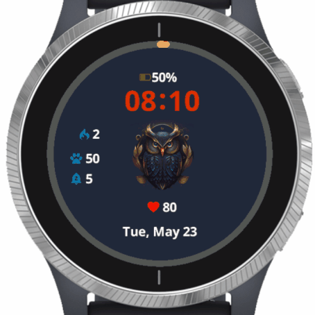 garmin watch updates