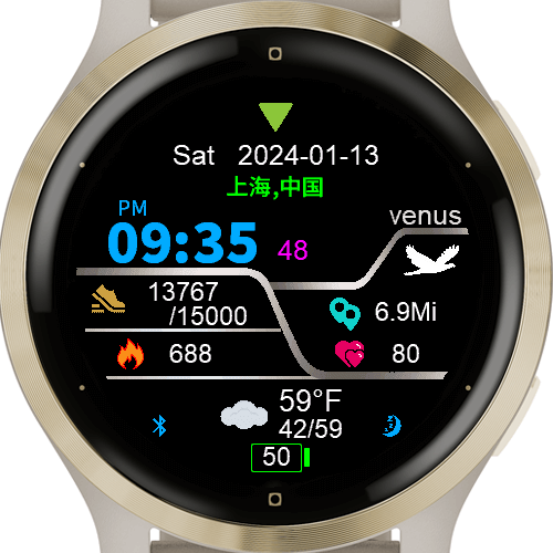 Venus garmin online