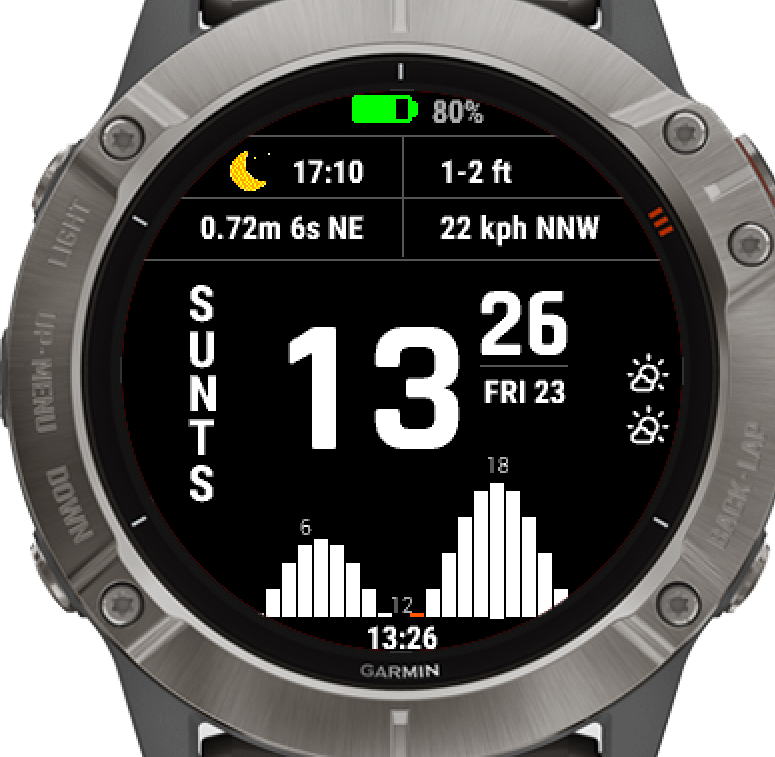 Garmin fenix 6 discount tides