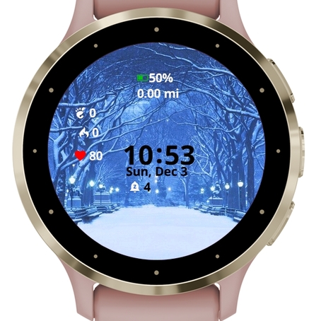 Vivoactive 3 music store frozen