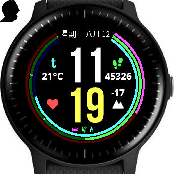 VerticalPace Garmin Connect IQ