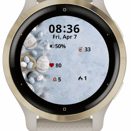 garmin watch updates