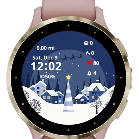 The City Frozen Garmin Connect IQ