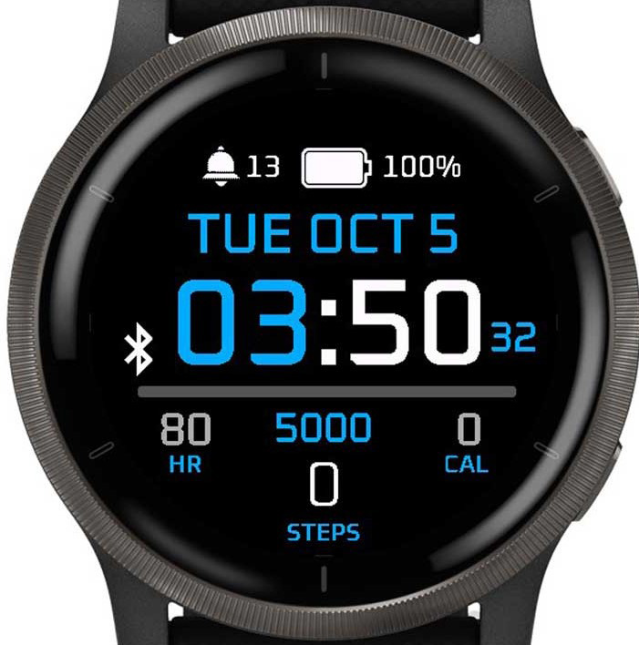 Garmin fenix 5x sapphire watch clearance faces