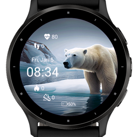 Polar Bear Garmin Connect IQ