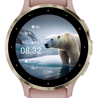 Polar cheap vivoactive 4s