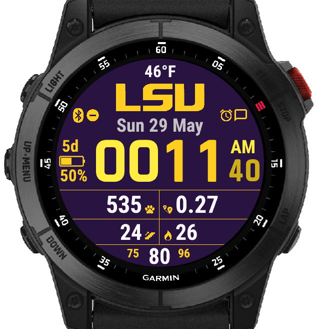 Garmin fenix best sale 2 app